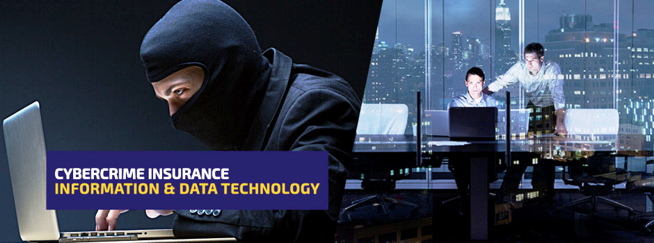 Cyber Crime & Financial Institutions Insurance